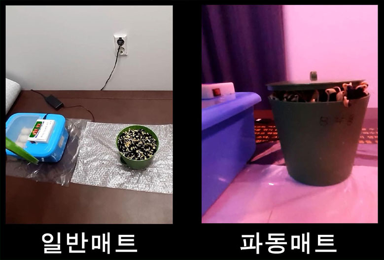 b09d3af2be950f192c253417aeb8e80d_1711605687_188.jpg b09d3af2be950f192c253417aeb8e80d_1711605687_188.jpg