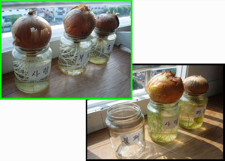 b09d3af2be950f192c253417aeb8e80d_1711605827_9214.jpg b09d3af2be950f192c253417aeb8e80d_1711605827_9214.jpg