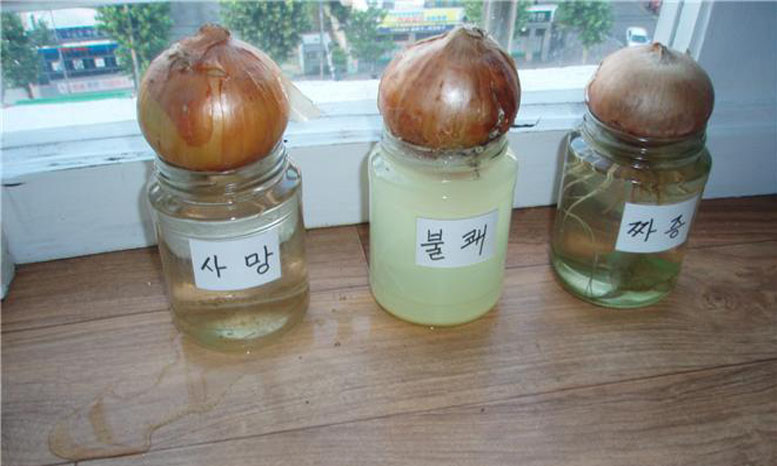 b09d3af2be950f192c253417aeb8e80d_1711605851_0711.jpg b09d3af2be950f192c253417aeb8e80d_1711605851_0711.jpg