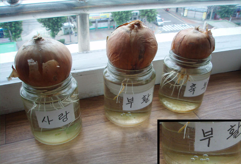 b09d3af2be950f192c253417aeb8e80d_1711605875_4637.jpg b09d3af2be950f192c253417aeb8e80d_1711605875_4637.jpg