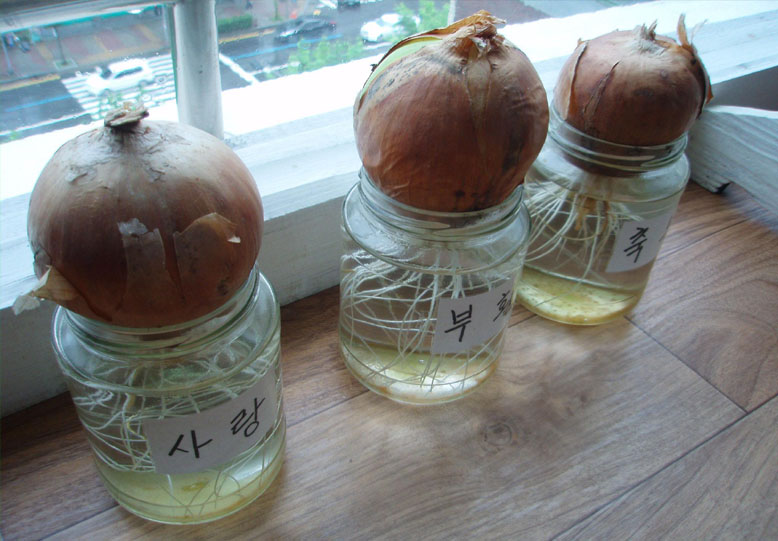 b09d3af2be950f192c253417aeb8e80d_1711605919_2137.jpg b09d3af2be950f192c253417aeb8e80d_1711605919_2137.jpg